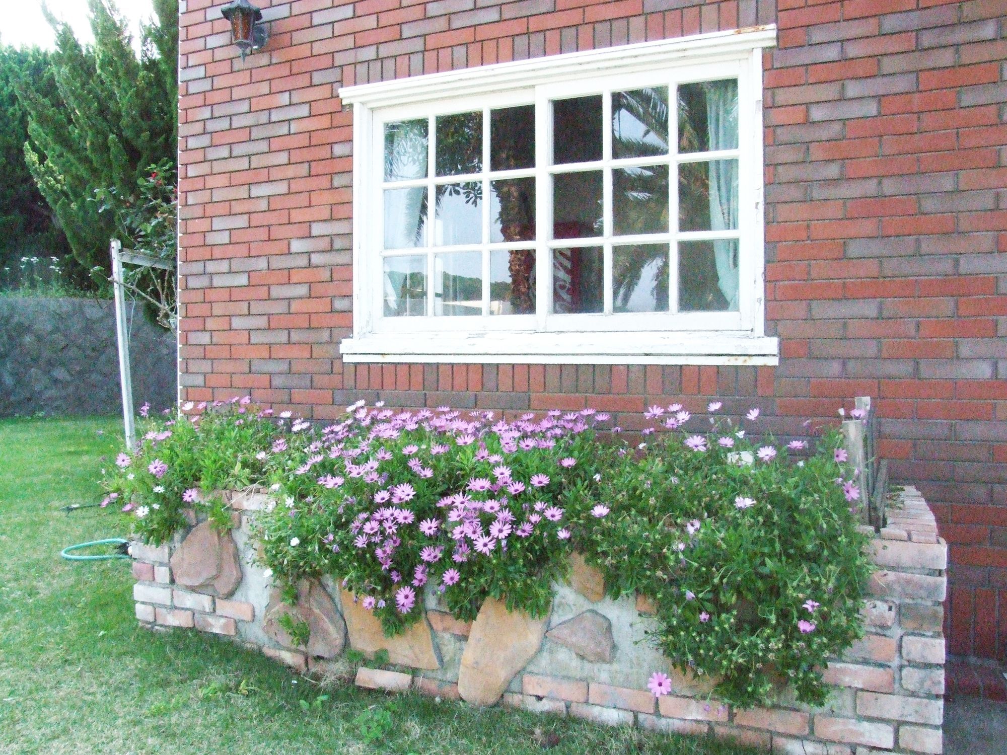 Hotel ペンション百万本のバラ "A Million Roses" Shimoda  Exterior foto